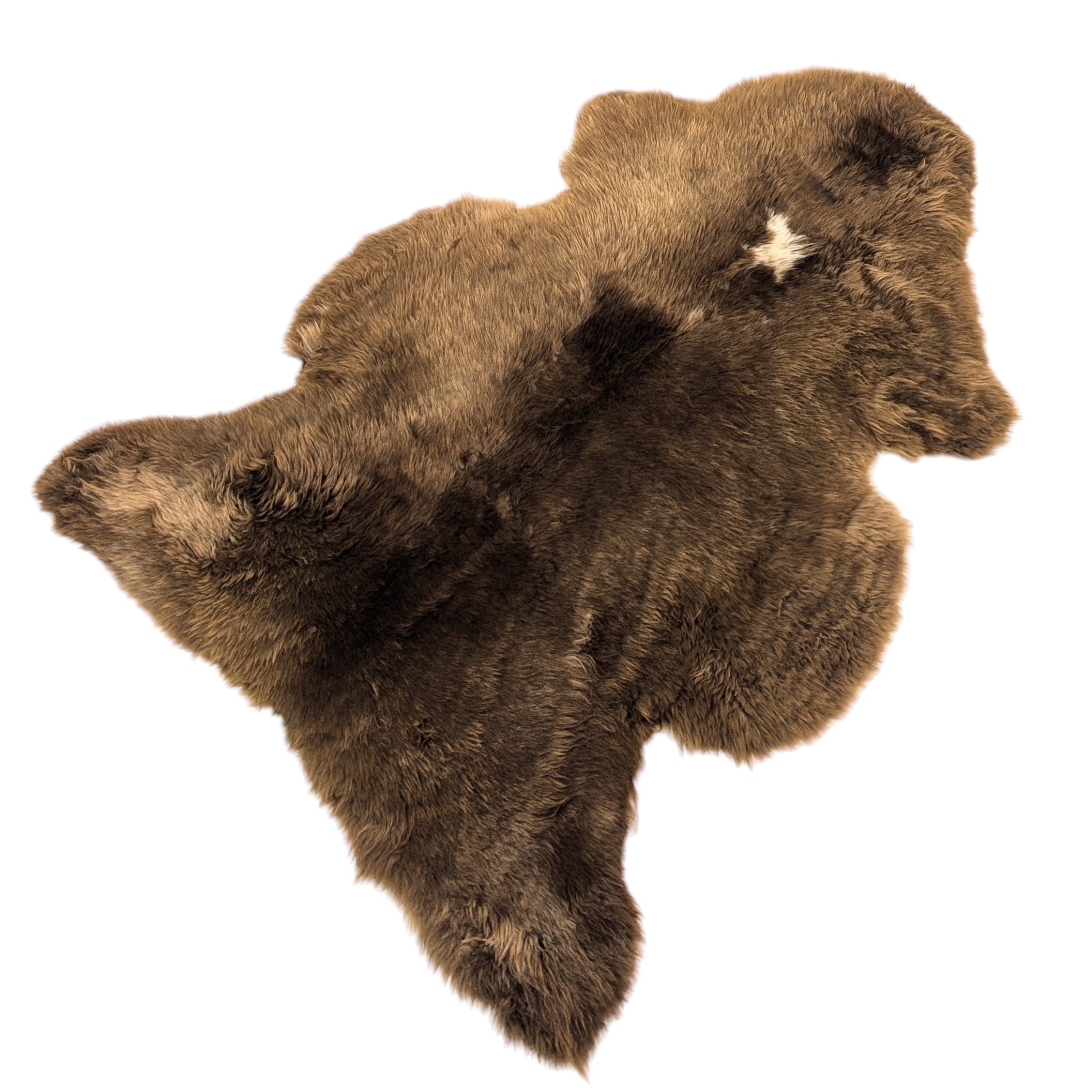 Rustic Shorn LARGE #SPM1-011